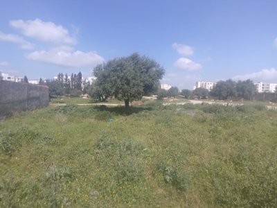 Vente Surfaces à La Mannouba (Mannouba) - Un lot de terrain de 460m2 à mannouba -
