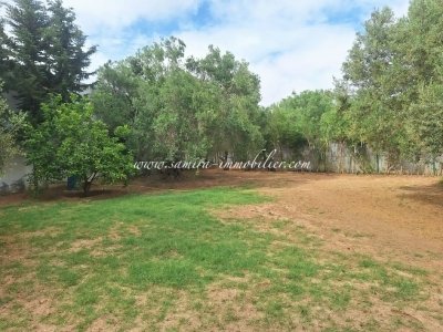 Location Maisons à Hammamet (Hammamet) - L125 villa la tulipe -