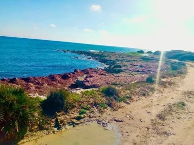 Terrain Terrain nu à Kerkouane (Kelibia) - Terrain kerkouen nozha -