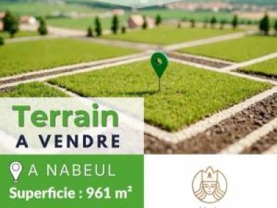 Vente Surfaces à Nabeul (Nabeul) - Terrain    nabeul ref795a -