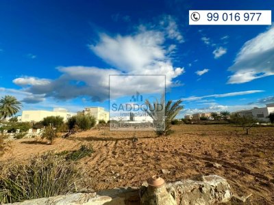 Terrain à Vendre – Ceinture Bourguiba entre Aïn et Afrane