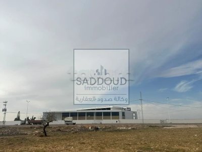 🏡 Terrain à Vendre – Route El Afrane Km 9