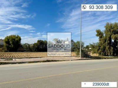 Terrain   478 m² à vendre – Route Matar Km 1