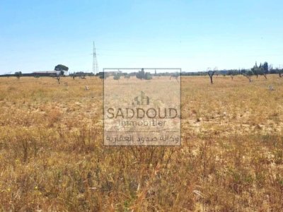 Terrain à vendre 1607m²à Route Manzel chaker km 15, à droite première position titre foncier