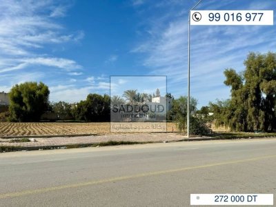 🏡 Terrain : 495 m² à vendre – Route Matar Km1