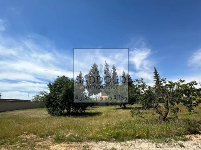 Terrain de prestige à vendre Route Lafran klm 4