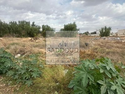 terrain à vendre weed chaabouni