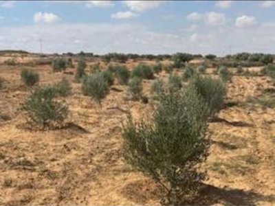 للبيع او نبدل بسيارة نفس السعر