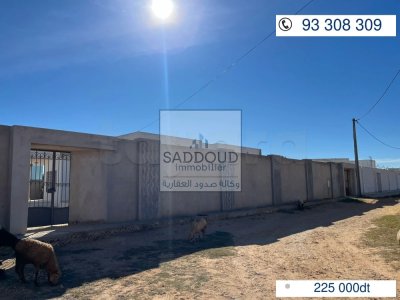 Terrain à Vendre – Route Gremda Km 9