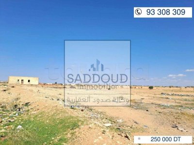 terrain à vendre 21276m² à Route Manzel Chaker km 12 (زنقة المزغني) Route goudronnée de 800m de la route principale