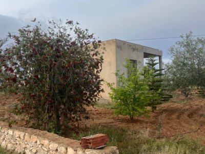 Maison et Terrain 4400 m2 sfax