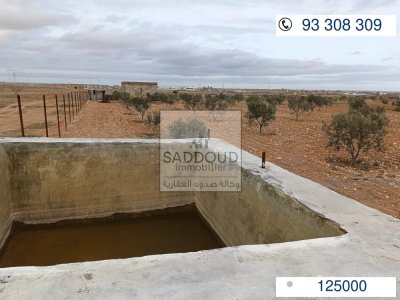 Boura à Vendre à Route Manzel cheker km12