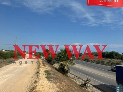 Terrain Agricole à Sidi Bouali  près de l'autoroute et GP1