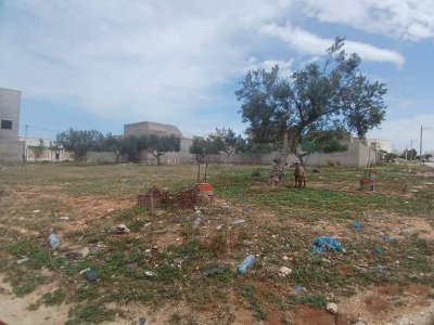 Terrain (titre foncier individuel) à vendre à Hammam Sousse Ghrabi– 370 m² – faisant l’angle – R+2