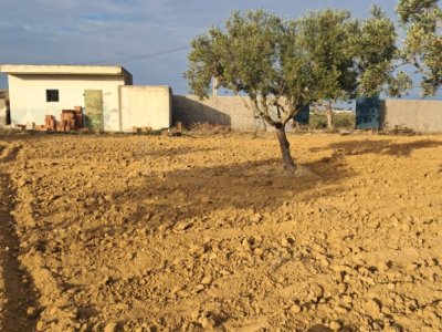 Terrain à Rmila chott meriem sousse  -  superficie : 3873 m2