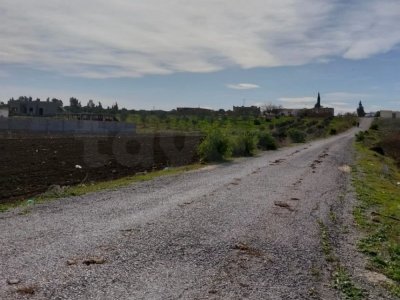 3 hectare et demi à vendre ou bien 1 hectare et demi ou bien 2h à vendre sur le GP1 sousse Tunis entre enfidha et bouficha au prix de 30d le m2 negociable