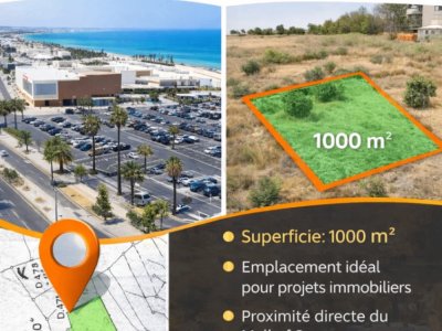OFFRE EXCEPTIONNELLE – OPPORTUNITÉ INVESTISSEUR