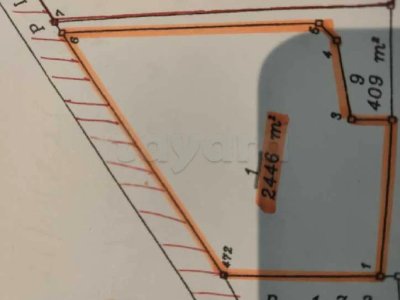 a vendre a sousse chat mariem lfoka3ya un lot de terrain de 2446m2 /36 oliviers prix : 244000dt
