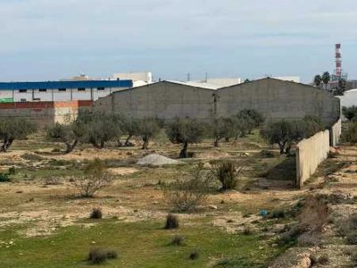 terrain 3 hektar zone industrielle sidi Abdelhamid pré les usine