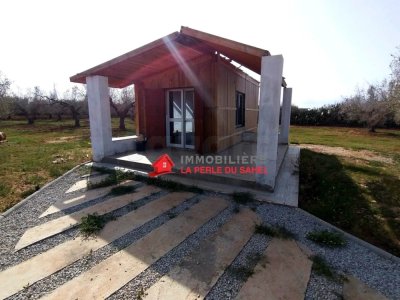 UNE FERME DE 4200 m² A KALAA💎CONTENANT UN STUDIO EN BOIS