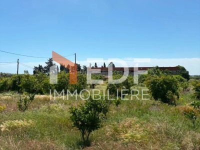 OPPORTUNITÉ EXCEPTIONNELLE À GHAR EL MELH – BIZERTE Réf 3585