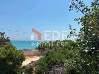 Terrain a Vendre a Ghar Meleh Sidi Ali maki