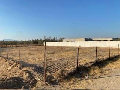 Terrain à vendre à Bessbassia – Hammamet, proche autoroute Tunis–Hammamet