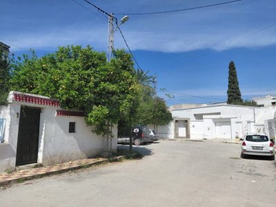A Vendre Villa  au Bardo Hneya