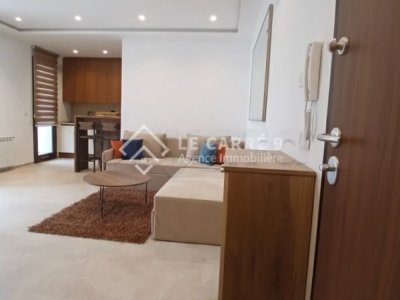 Un appartement à louer  S+1 meublé - Ain Zaghouan Nord