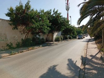 A vendre un terrain de 570m² titre idividuelle  ce trouve sur la rue du stade RAJAJA HAYDER La Marsa Tunis
