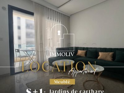 A louer un Appt S+1 meublé aux Jardins de Carthage