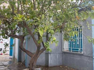 Villa à vendre Rades