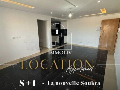 A louer un appartement S+1 à la Nouvelle Soukra