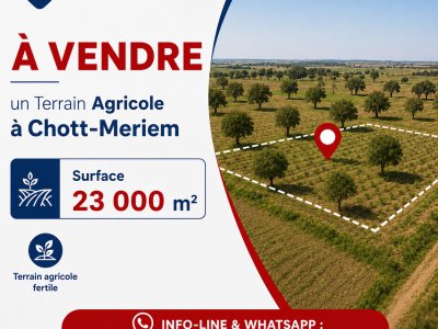 À vendre un terrain agricole à Chott-Meriem Sousse